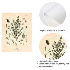 Botanical Kitchen Herb Wall Art Set - 4 10x8in Prints Thyme Mint Ro