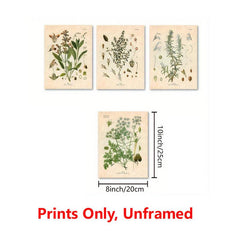 Botanical Kitchen Herb Wall Art Set - 4 10x8in Prints Thyme Mint Ro