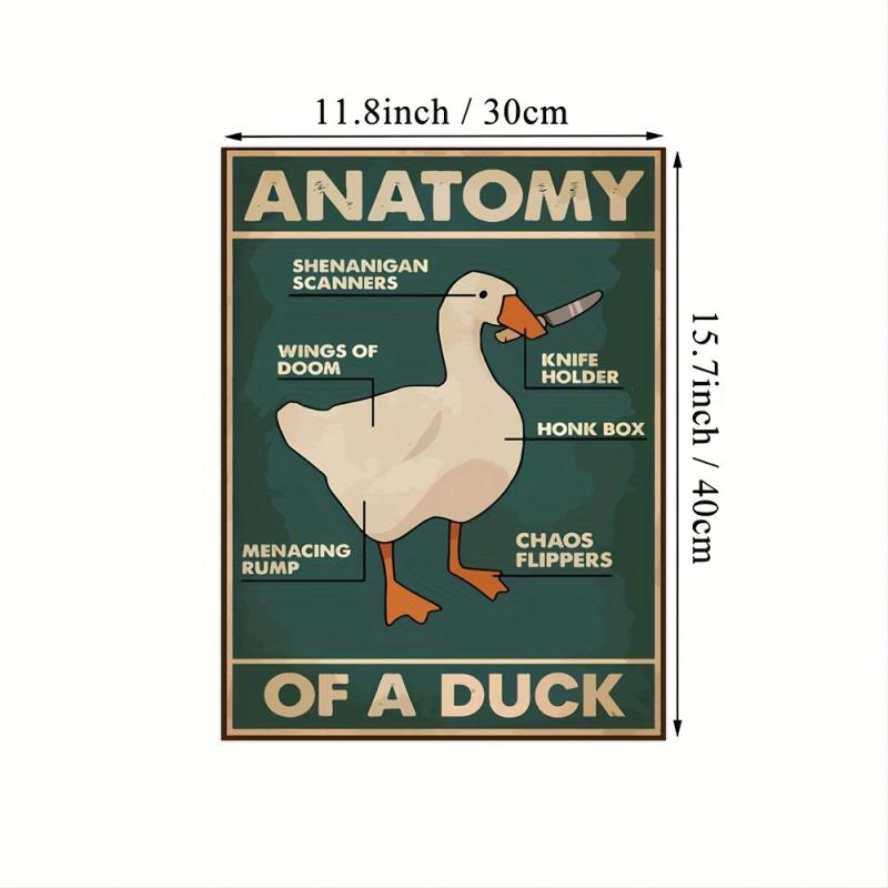 Duck Wall Canvas Animal Picture Anatomical Analysis Painting Poster