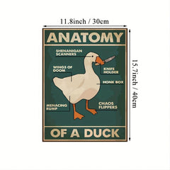 Duck Wall Canvas Animal Picture Anatomical Analysis Painting Poster