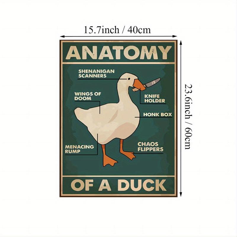 Duck Wall Canvas Animal Picture Anatomical Analysis Painting Poster
