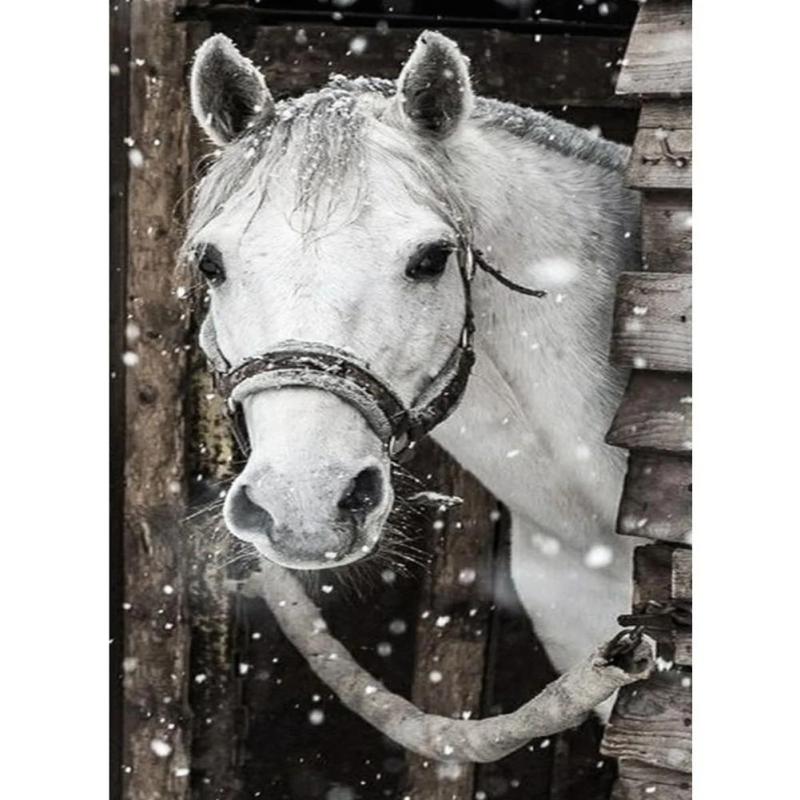 Animal DIY Diamond Painting Kit for Adults Embroidery Craft Home Decor