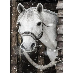Animal DIY Diamond Painting Kit for Adults Embroidery Craft Home Decor