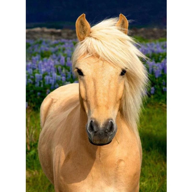 Animal DIY Diamond Painting Kit for Adults Embroidery Craft Home Decor