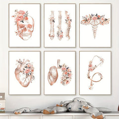 6pcs Anatomy Skeleton Organ Art Poster Heart Lungs Skull Spines Cad