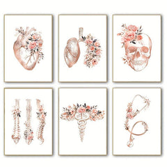 6pcs Anatomy Skeleton Organ Art Poster Heart Lungs Skull Spines Cad