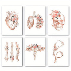6pcs Anatomy Skeleton Organ Art Poster Heart Lungs Skull Spines Cad