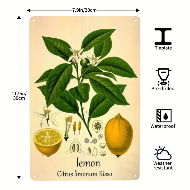 Retro Metal Tin Sign Lemon House Coffee Wall Decor 20x30 cm