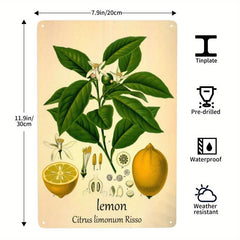 Retro Metal Tin Sign Lemon House Coffee Wall Decor 20x30 cm