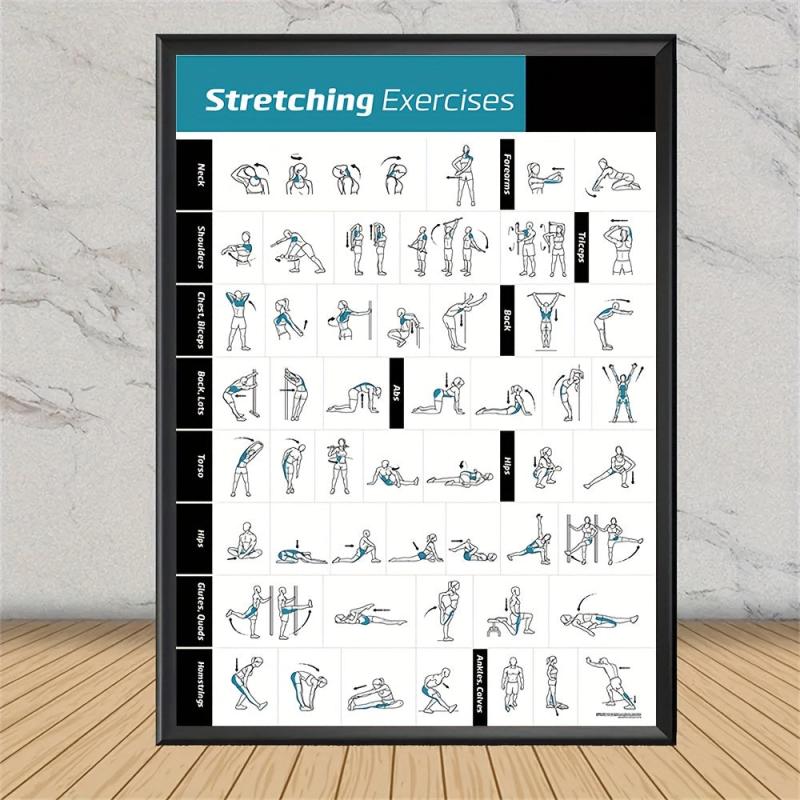 Bodybuilding Gym Dumbbell Exercise Training Chart Poster