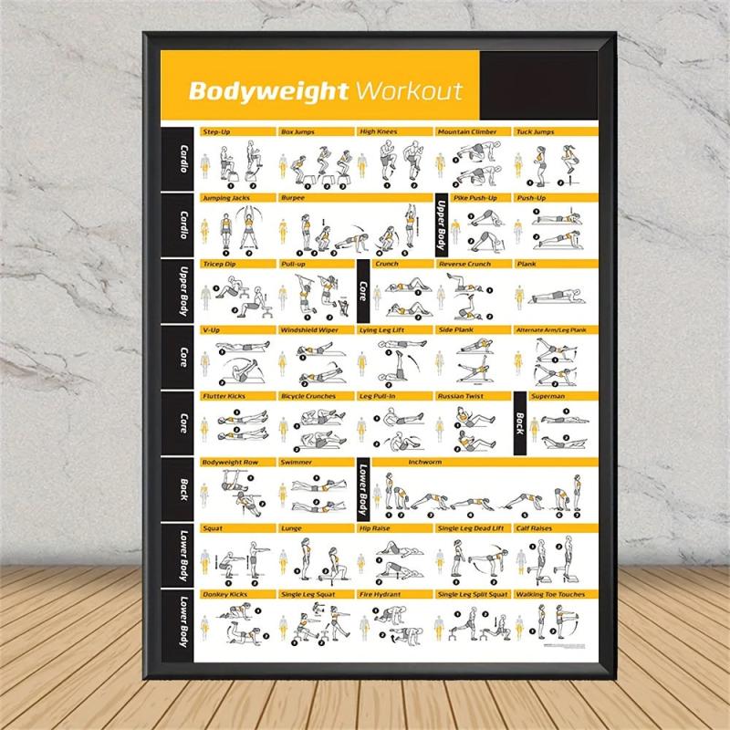 Bodybuilding Gym Dumbbell Exercise Training Chart Poster