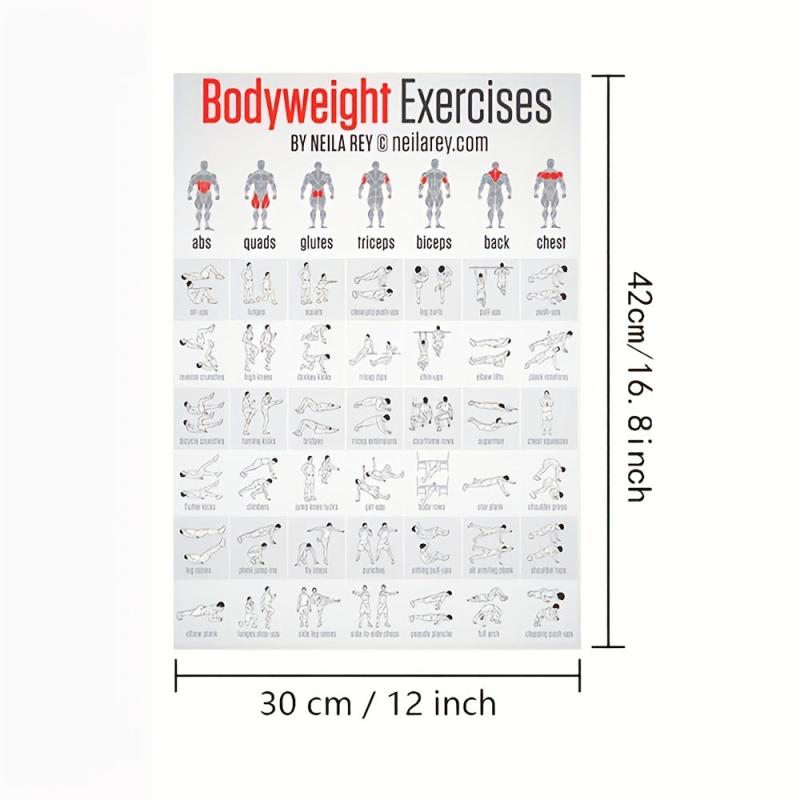 Bodybuilding Gym Dumbbell Exercise Training Chart Poster