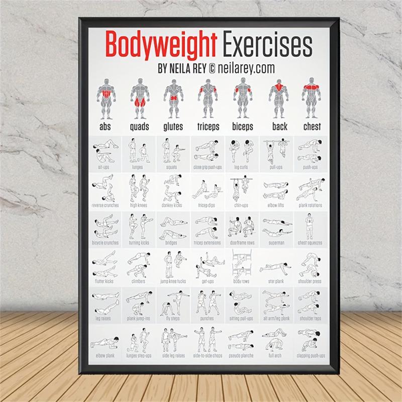 Bodybuilding Gym Dumbbell Exercise Training Chart Poster