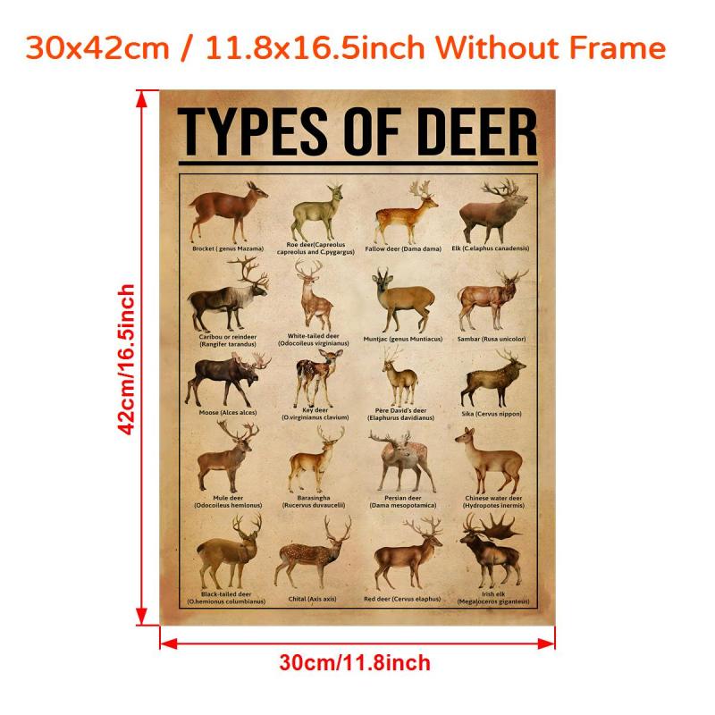 Reindeer Knowledge Canvas Poster - Home Decor
