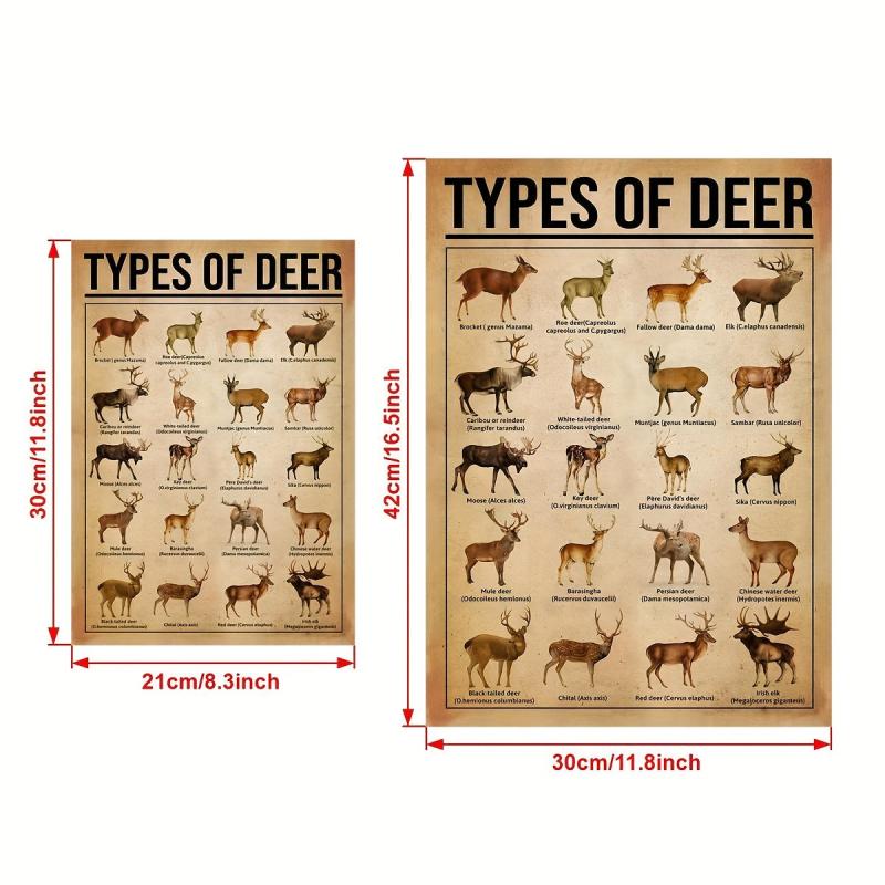 Reindeer Knowledge Canvas Poster - Home Decor
