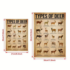 Reindeer Knowledge Canvas Poster - Home Decor