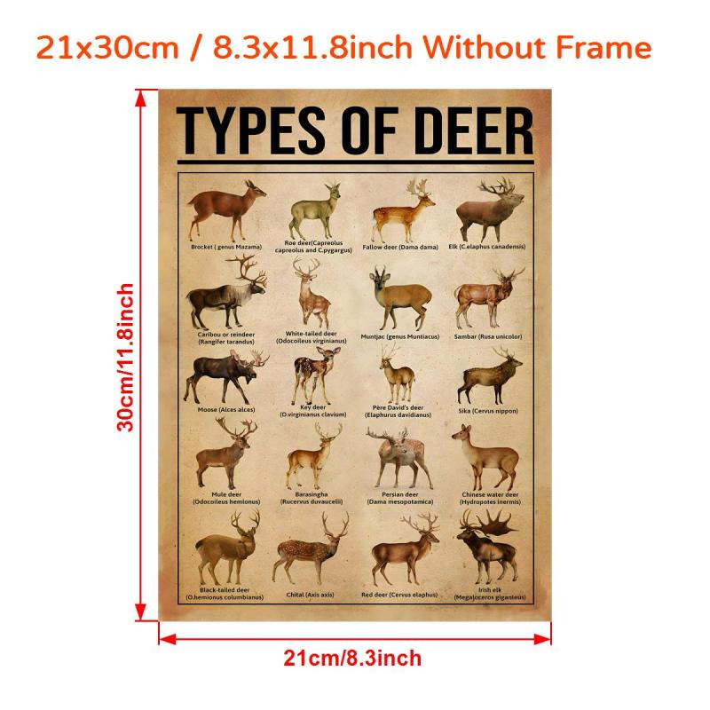 Reindeer Knowledge Canvas Poster - Home Decor