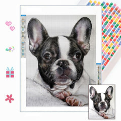 DIY Diamond Painting Dog Full Drill Rhinestone Craft Wall Art Home Decor