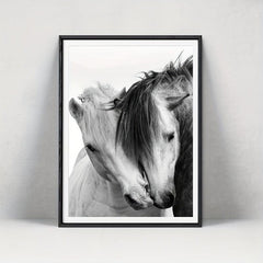 Horse Head Canvas Painting Prints for Home Decor