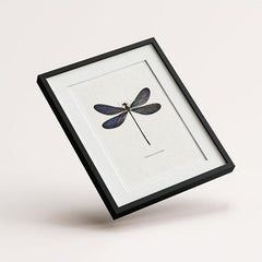 6pcs Dragonfly Specimen Art Posters for Home Decor - A5 A4 A3 A2 Sizes