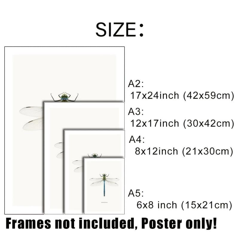 6pcs Dragonfly Specimen Art Posters for Home Decor - A5 A4 A3 A2 Sizes