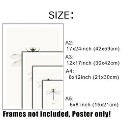 6pcs Dragonfly Specimen Art Posters for Home Decor - A5 A4 A3 A2 Sizes