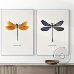 6pcs Dragonfly Specimen Art Posters for Home Decor - A5 A4 A3 A2 Sizes