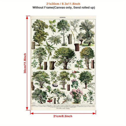 French Vintage Botanical Poster Art Print Painting for Home Decor