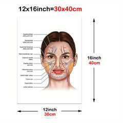 Female Face Anatomy and Fat Pads Canvas Painting for Decor