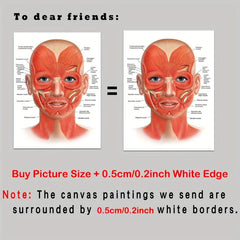 Female Face Anatomy and Fat Pads Canvas Painting for Decor