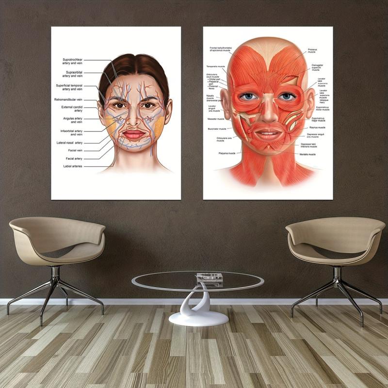 Female Face Anatomy and Fat Pads Canvas Painting for Decor