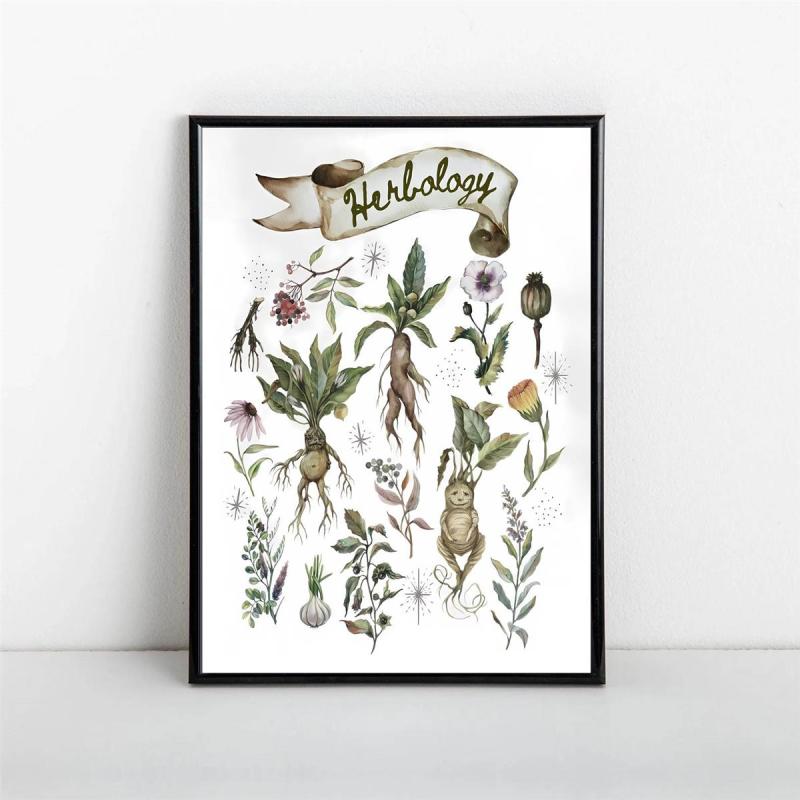 Canvas Poster Herbology Medicinal Plant Chart Watercolor Wall Art