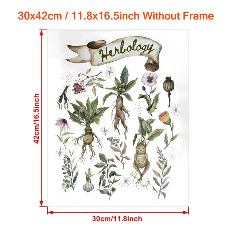 Canvas Poster Herbology Medicinal Plant Chart Watercolor Wall Art