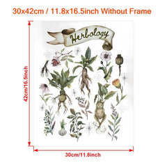 Canvas Poster Herbology Medicinal Plant Chart Watercolor Wall Art