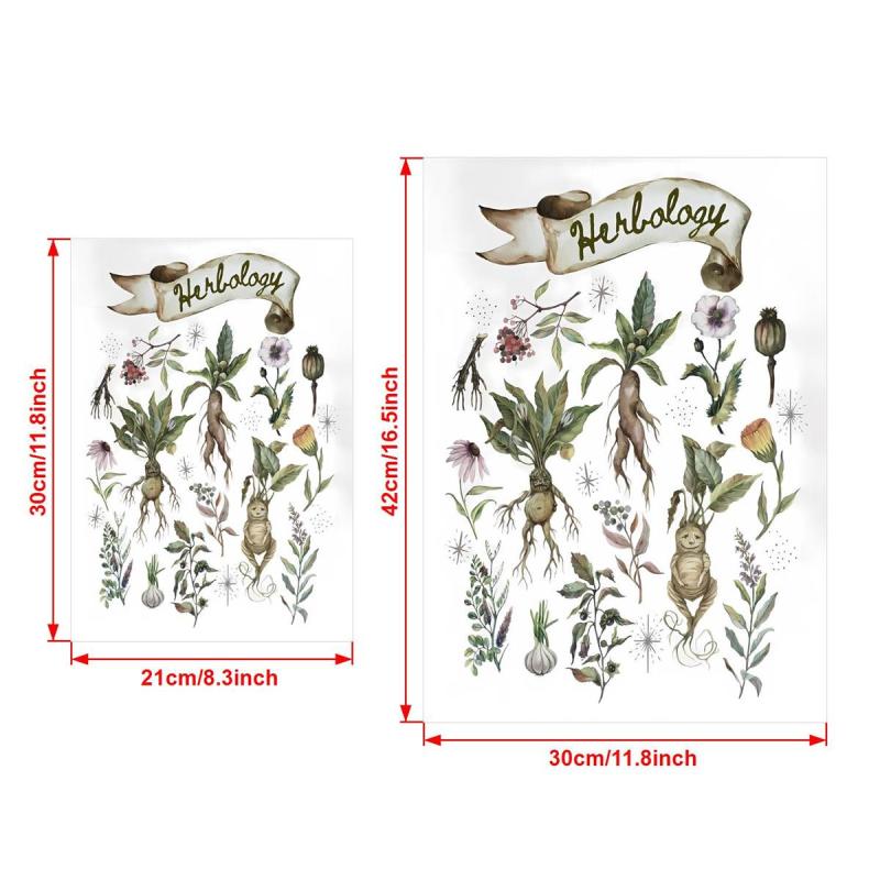 Canvas Poster Herbology Medicinal Plant Chart Watercolor Wall Art