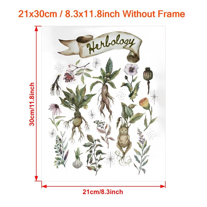 Canvas Poster Herbology Medicinal Plant Chart Watercolor Wall Art