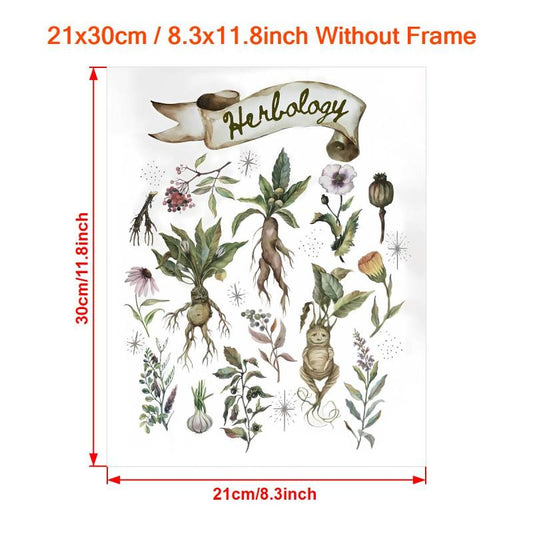 Canvas Poster Herbology Medicinal Plant Chart Watercolor Wall Art