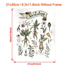 Canvas Poster Herbology Medicinal Plant Chart Watercolor Wall Art
