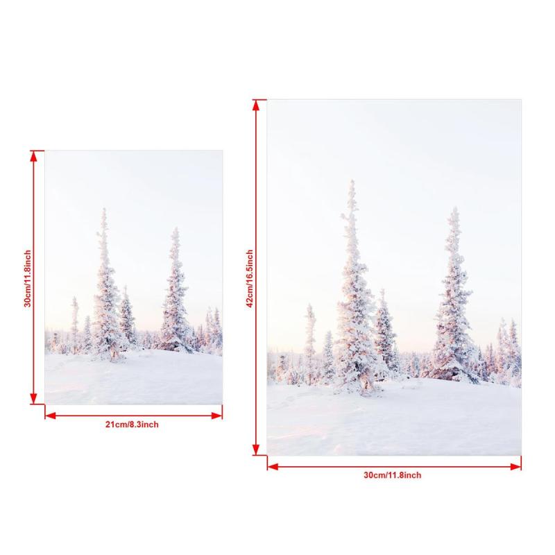 Blush Pink Winter Forest Photo Snow Trees Christmas Wall Decor Poster