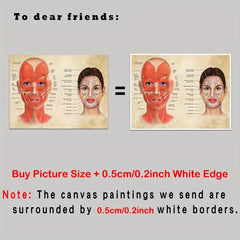 Facial Muscles And Veins Poster Physiognomy Art Massage Therapist Vintage Canvas
