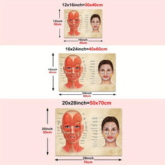 Facial Muscles And Veins Poster Physiognomy Art Massage Therapist Vintage Canvas