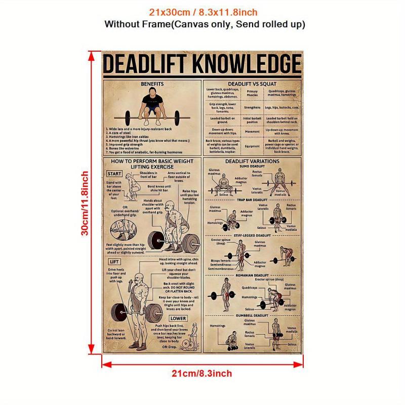 Deadlift Knowledge Poster - Gym Decor Gift - Home Office Wall