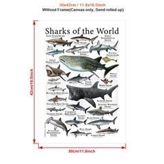Canvas Painting Sharks Of The World Poster Print Wall Art