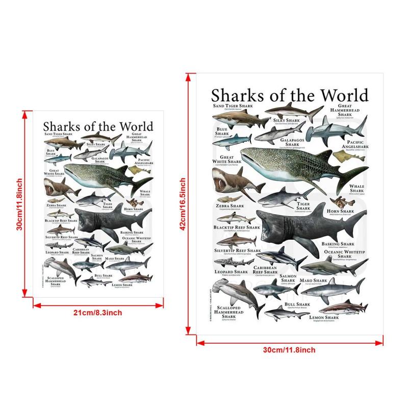 Canvas Painting Sharks Of The World Poster Print Wall Art