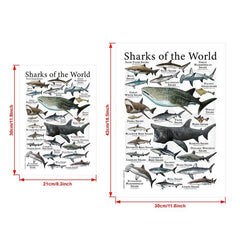 Canvas Painting Sharks Of The World Poster Print Wall Art
