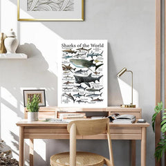 Canvas Painting Sharks Of The World Poster Print Wall Art