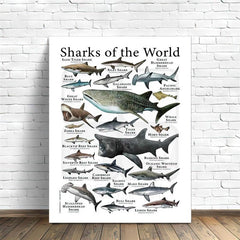 Canvas Painting Sharks Of The World Poster Print Wall Art