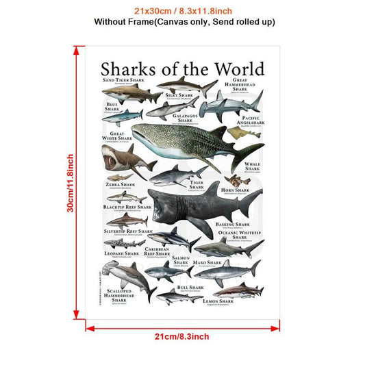 Canvas Painting Sharks Of The World Poster Print Wall Art