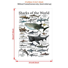 Canvas Painting Sharks Of The World Poster Print Wall Art
