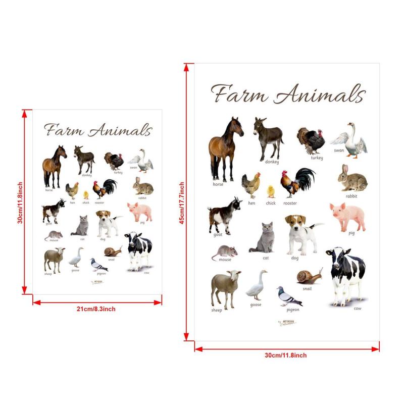Canvas Poster Preschool Map Preschool Education Poster Animals Children's Room